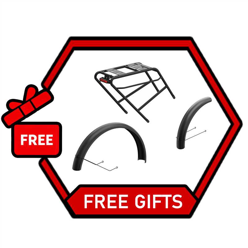 SPECIAL GIFT - Suitable for X9 Ultra Rear Rack & Fenders